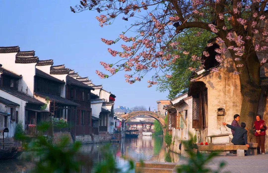 出席市政协十三届三次会议的委员陆续报到
